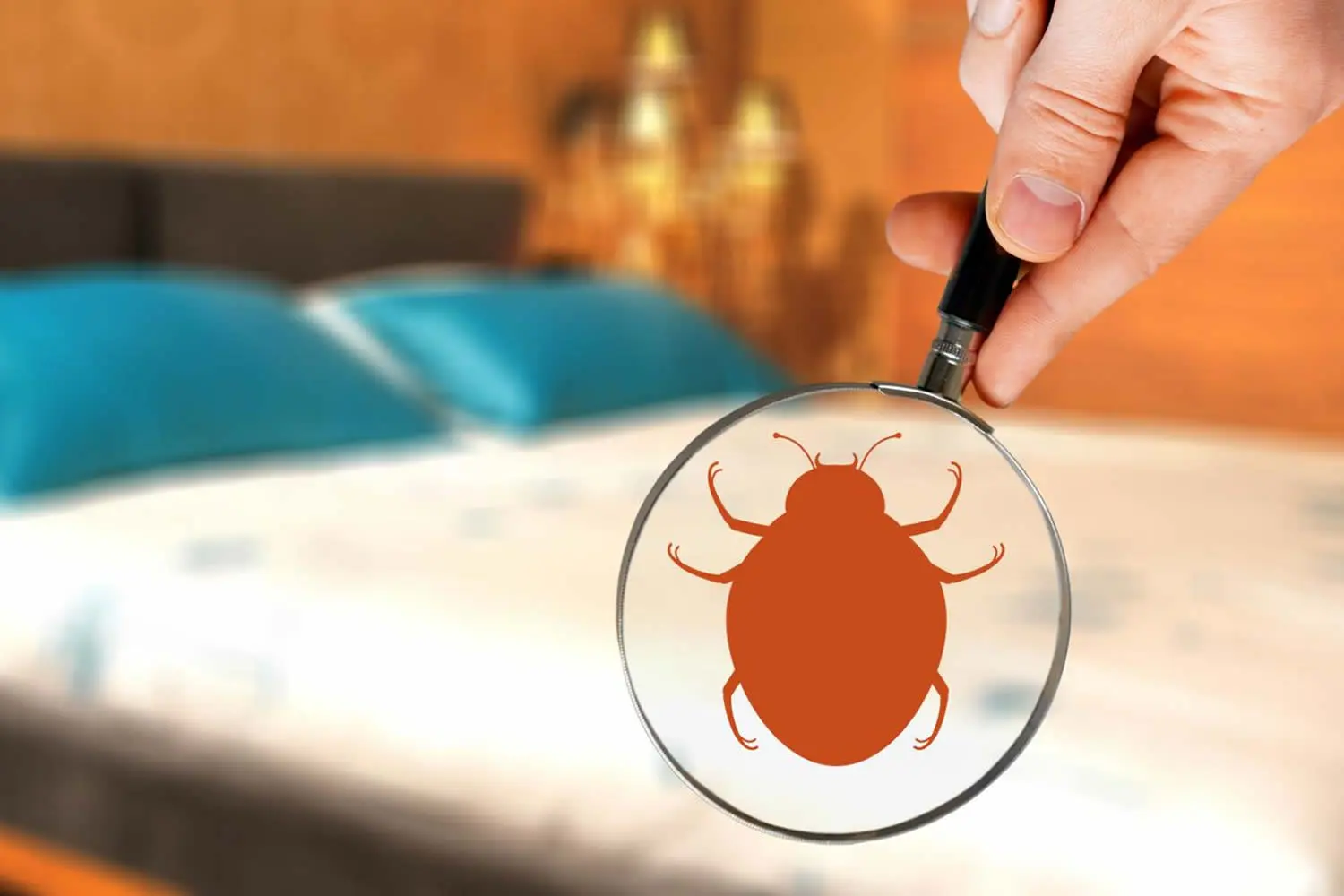 medical dermatology woman hand-with-magnifying-glass-detecting-bed-bug